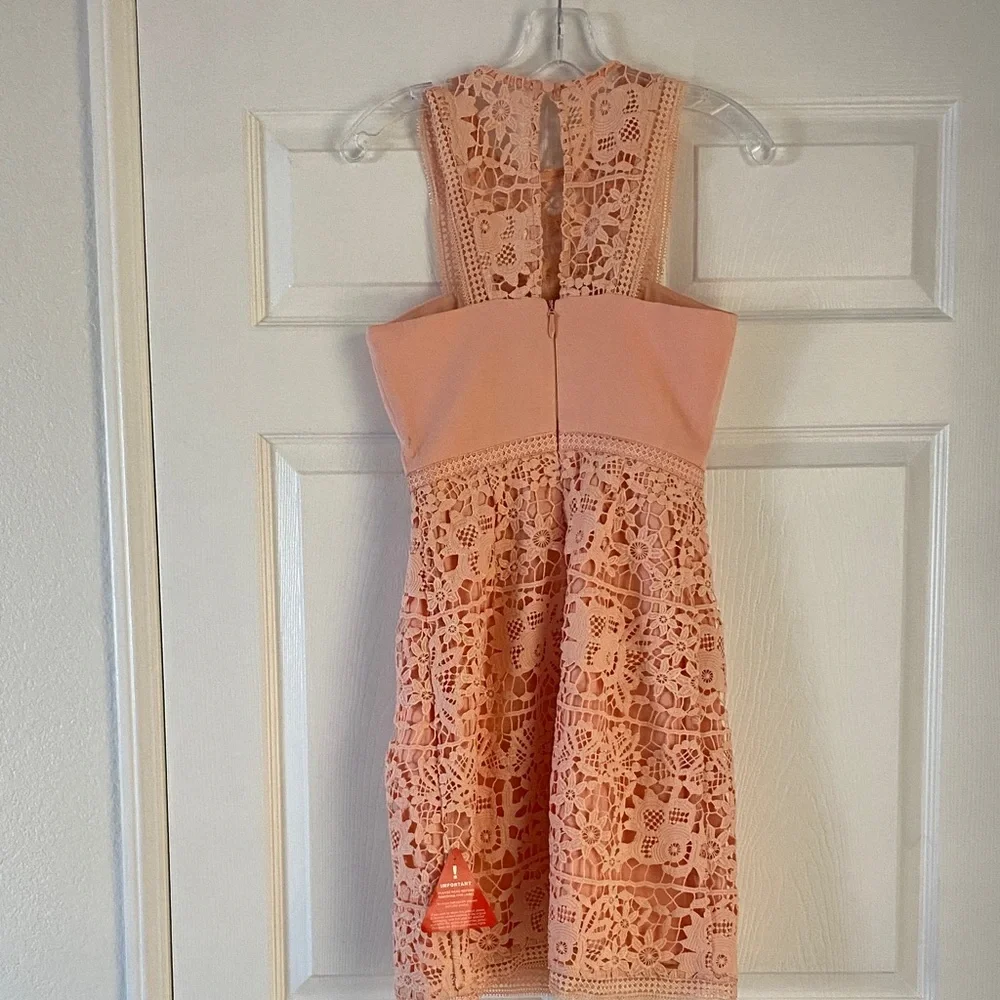 Bariano Lace Mini Dress - Picture 7 of 7